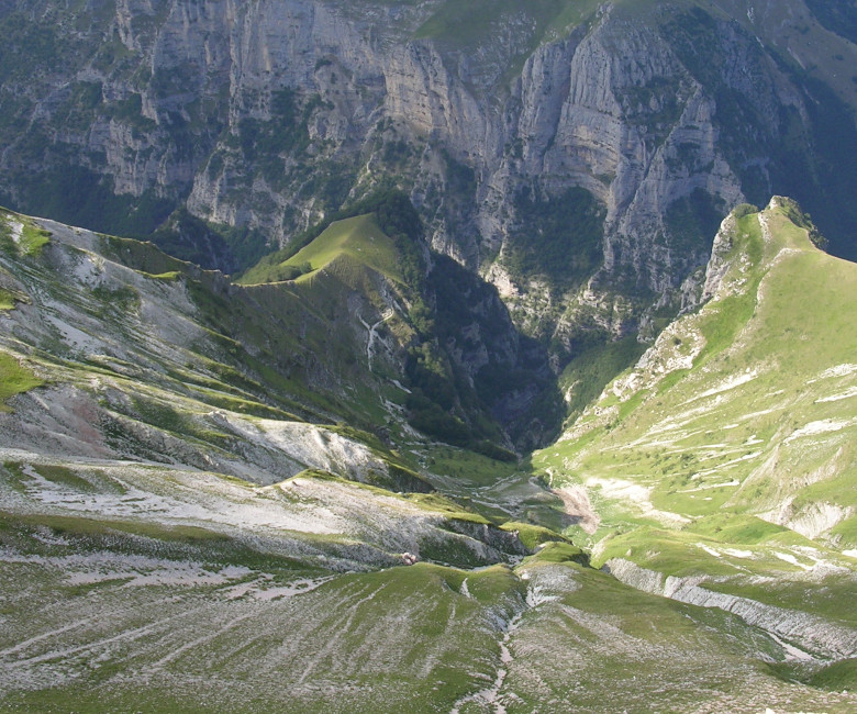 260629-VENE-SIBILLA
